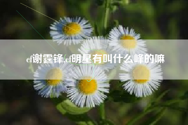 cf谢霆锋,cf明星有叫什么峰的嘛