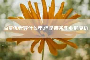 dnf复仇者穿什么甲,但是装备毕业的复仇