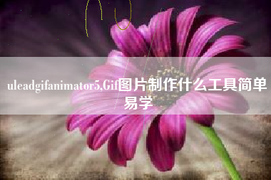 uleadgifanimator5,Gif图片制作什么工具简单易学