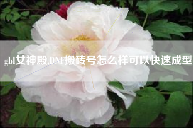 gbl女神殿,DNF搬砖号怎么样可以快速成型