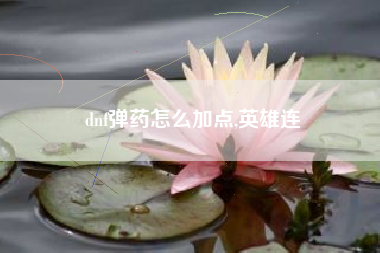 dnf弹药怎么加点,英雄连