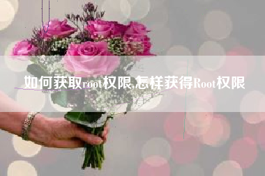 如何获取root权限,怎样获得Root权限