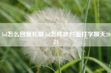 lol怎么回复私聊,lol怎样跟对面打字聊天2021