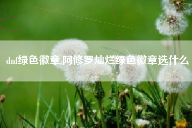 dnf绿色徽章,阿修罗灿烂绿色徽章选什么