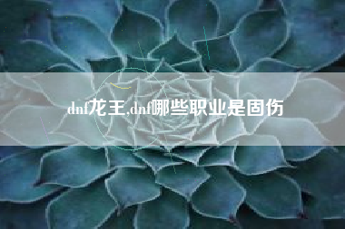 dnf龙王,dnf哪些职业是固伤