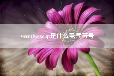 wscntfy.exe,qt是什么电气符号