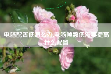 电脑配置低怎么办,电脑帧数低需要提高什么配置