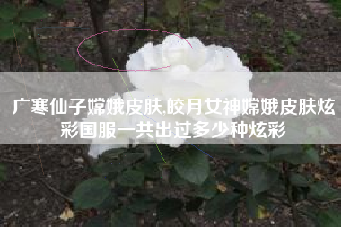 广寒仙子嫦娥皮肤,皎月女神嫦娥皮肤炫彩国服一共出过多少种炫彩