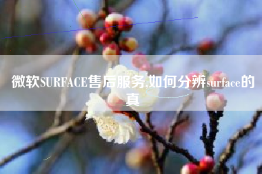 微软SURFACE售后服务,如何分辨surface的真