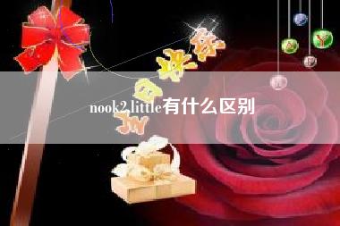 nook2,little有什么区别