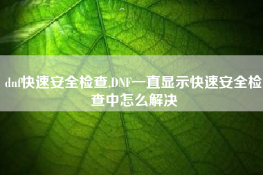 dnf快速安全检查,DNF一直显示快速安全检查中怎么解决