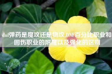 dnf弹药是魔攻还是物攻,DNF百分比职业和固伤职业的附魔以及强化的区别