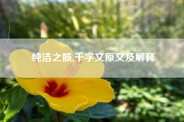 纯洁之骸,千字文原文及解释