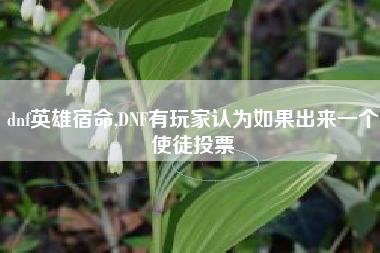 dnf英雄宿命,DNF有玩家认为如果出来一个使徒投票