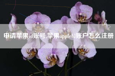 申请苹果id账号,苹果appleld账户怎么注册