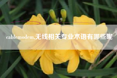 cablemodem,无线相关专业术语有哪些呢