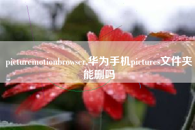 picturemotionbrowser,华为手机pictures文件夹能删吗