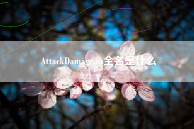 AttackDamage,ez全名是什么