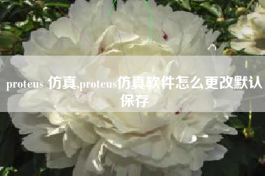 proteus 仿真,proteus仿真软件怎么更改默认保存