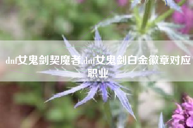 dnf女鬼剑契魔者,dnf女鬼剑白金徽章对应职业