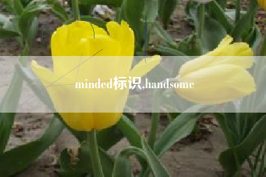 minded标识,handsome