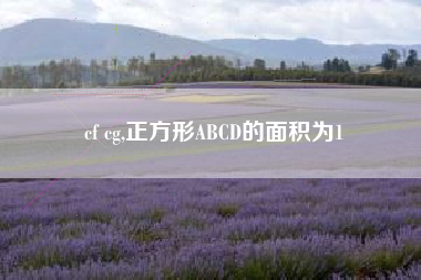 cf cg,正方形ABCD的面积为1