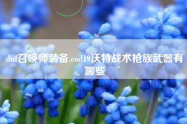 dnf召唤师装备,cod19沃特战术枪族武器有哪些