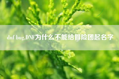 dnf bug,DNF为什么不能给冒险团起名字