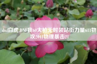 dnf白虎,DNF我60大枪无时装站街力量611物攻2041物理暴击21