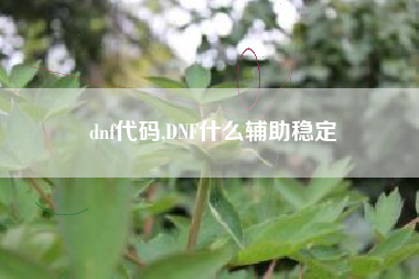 dnf代码,DNF什么辅助稳定