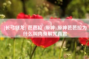 [长弓燧龙] 芭芭拉 (原神),原神芭芭拉为什么叫肉身解咒真君