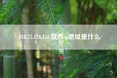 218.75.126.158,陕西ip地址是什么