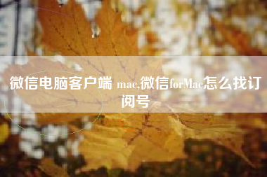 微信电脑客户端 mac,微信forMac怎么找订阅号