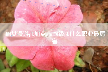 dnf女漫游pk加点,dnf70级pk什么职业最厉害