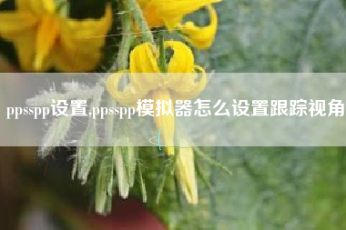 ppsspp设置,ppsspp模拟器怎么设置跟踪视角