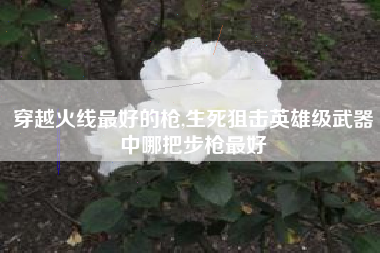 穿越火线最好的枪,生死狙击英雄级武器中哪把步枪最好