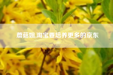 蘑菇姐,淘宝要培养更多的京东