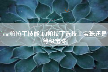 dnf帕拉丁技能,dnf帕拉丁选技工宝珠还是等级宝珠