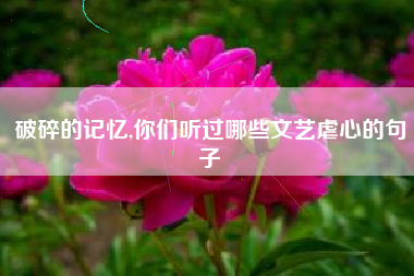 破碎的记忆,你们听过哪些文艺虐心的句子