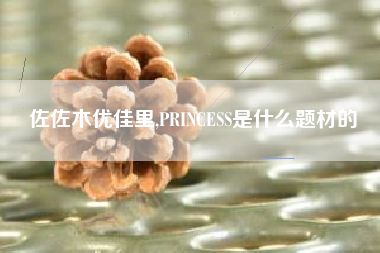 佐佐木优佳里,PRINCESS是什么题材的