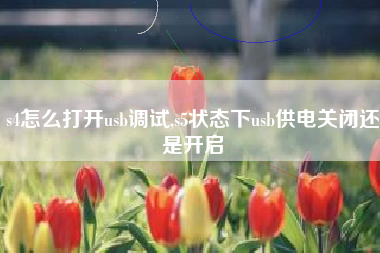 s4怎么打开usb调试,s5状态下usb供电关闭还是开启