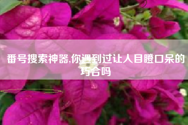 番号搜索神器,你遇到过让人目瞪口呆的巧合吗