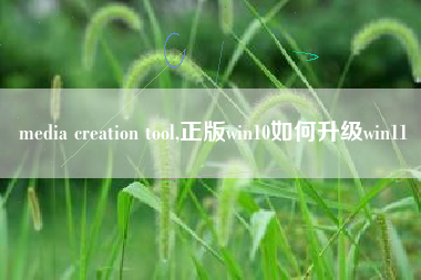 media creation tool,正版win10如何升级win11