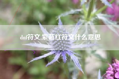 dnf符文,紫蓝红符文什么意思