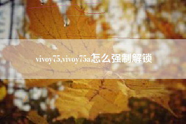 vivoy75,vivoy75a怎么强制解锁