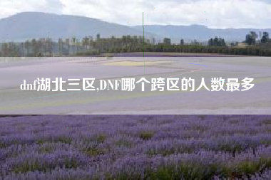 dnf湖北三区,DNF哪个跨区的人数最多