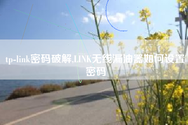 tp-link密码破解,LINK无线漏油器如何设置密码