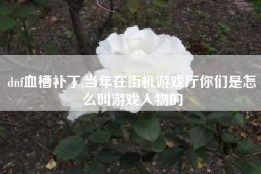 dnf血槽补丁,当年在街机游戏厅你们是怎么叫游戏人物的