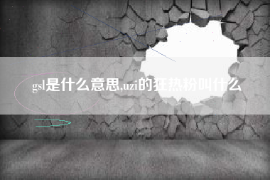 gsl是什么意思,uzi的狂热粉叫什么