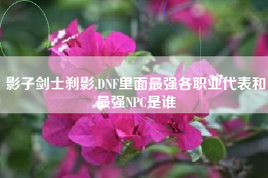 影子剑士刹影,DNF里面最强各职业代表和最强NPC是谁